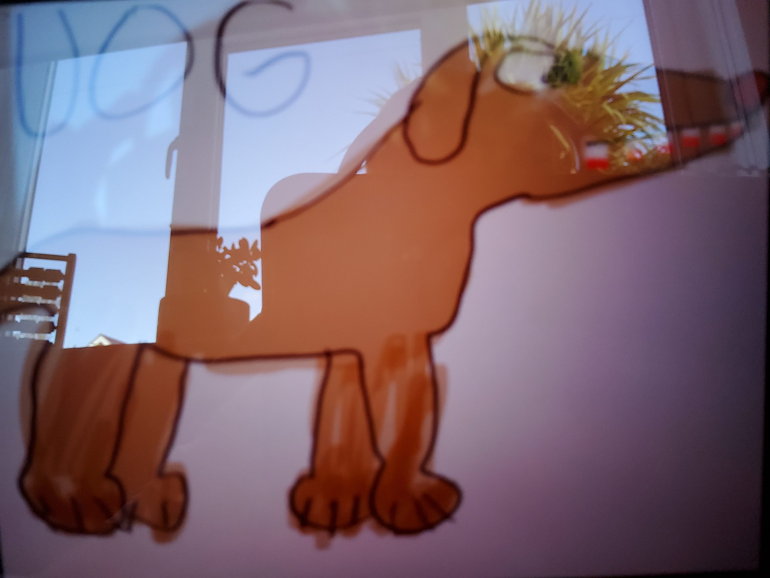 dogs