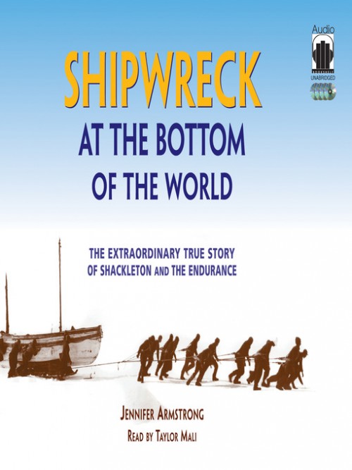 Shipwreck At The Bottom Of The World book review