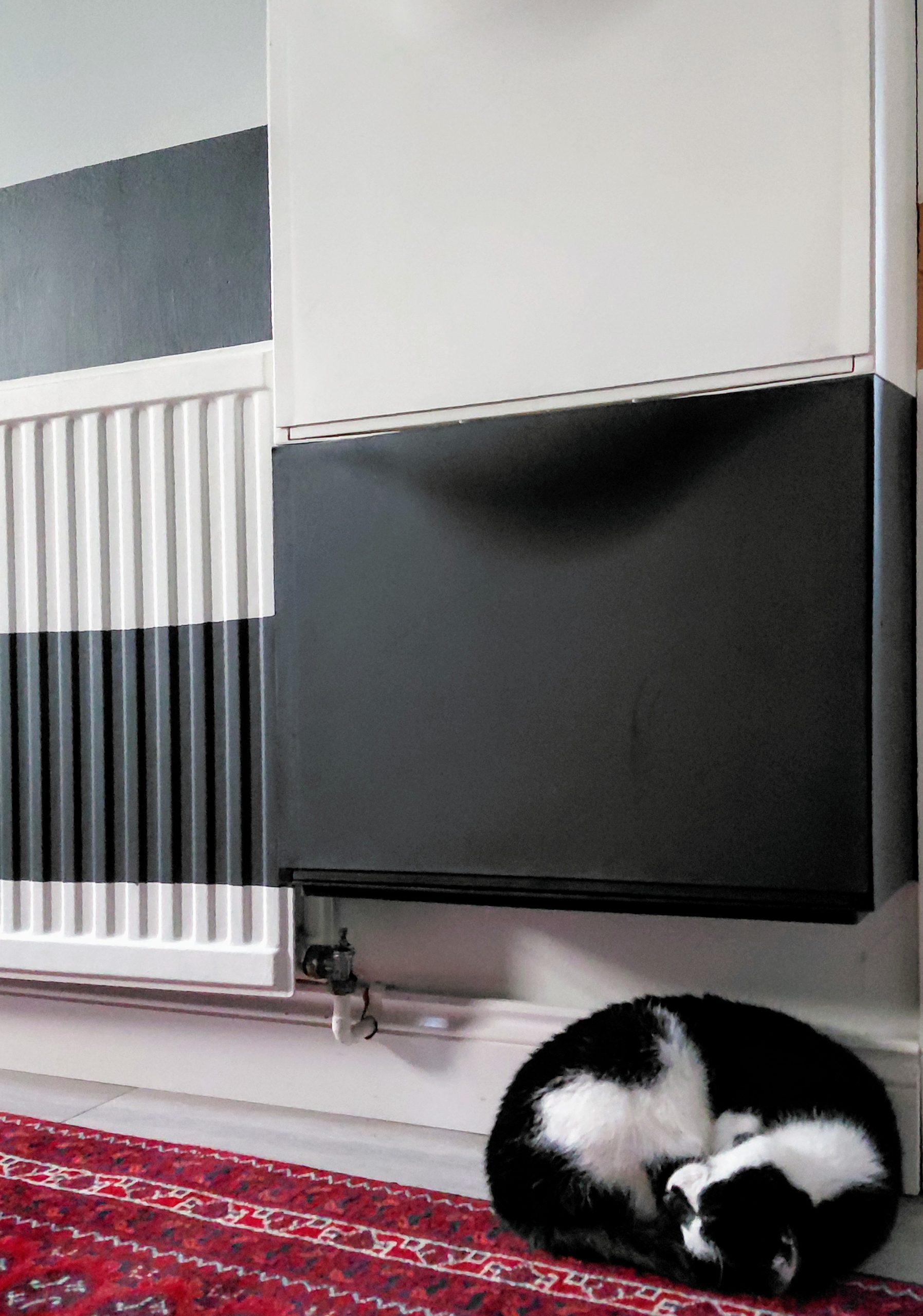 The Cat And The Hallway Shoeboxes (fiction but based on our cat)